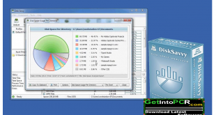Disk Savvy Ultimate latest version free download