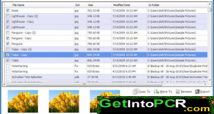 duplicate file finder pro 1