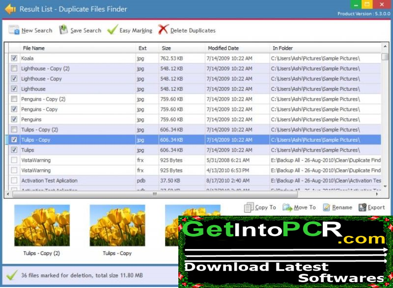 Ashisoft Duplicate File Finder Pro 2018 Free Download Full Version 1 duplicate file finder pro 1