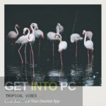 GOGOi – Tropical is Vibes Free Download