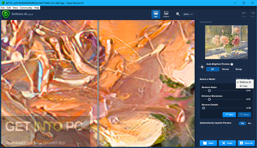 Topaz DeNoise AI Offline Installer Download-GetintoPC.com