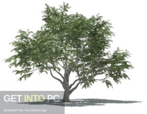 3DQUAKERS Forester v1.1.0 For Cinema 4D R14 R17 Latest Version Download-GetintoPC.com