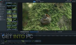 ACDSee-Luxea-Video-Editor-2021-Direct-Link-Free-Download-GetintoPC.com_.jpg