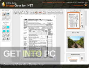 Accusoft ImageGear Free Download-GetintoPC.com