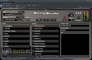 Applied Acoustics Systems String Studio VS-2 VST Offline Installer Download-GetintoPC.com