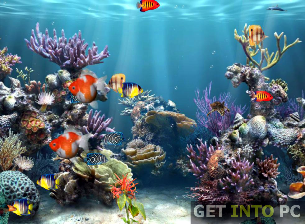 Aquarium 3D Screensaver Download For Free