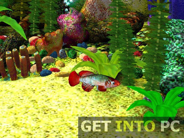 Aquarium 3D Screensaver Setup Free Download