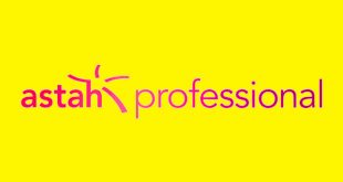 Astah Professional 2019 Free Download GetintoPC.com