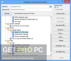Astonsoft Dropbox Delphi Component Free Download-GetintoPC.com