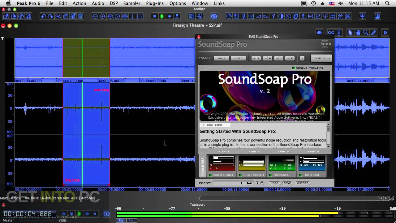 BIAS - SoundSoap PRO VST Latest Version Download-GetintoPC.com