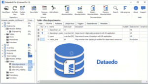 Dataedo-2020-Latest-Version-Free-Download