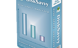 DiskSavvy 2020 Free Download