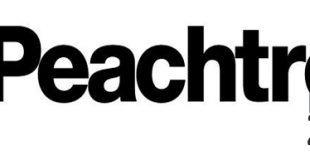 Download Peachtree 2007 Free