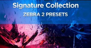 Dustons-Signature-Collection-Zebra-2-Free-Download-GetintoPC.com_.jpg