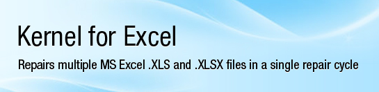 Kernel for Excel Repair Software