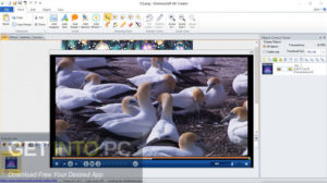 EximiousSoft GIF Creator Offline Installer Download-GetintoPC.com