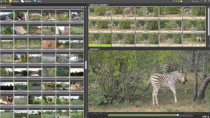 Fast-Video-Cataloger-2020-Free-Latest-Version-Download Fast-Video-Cataloger-2020-Free-Latest-Version-Download