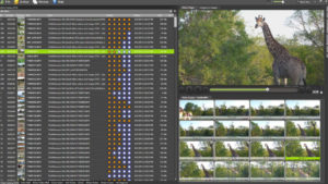 Fast-Video-Cataloger-2020-Full-Offline-Installer-Free-Download