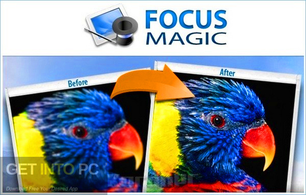 Focus Magic Offline Installer Download GetintoPC.com