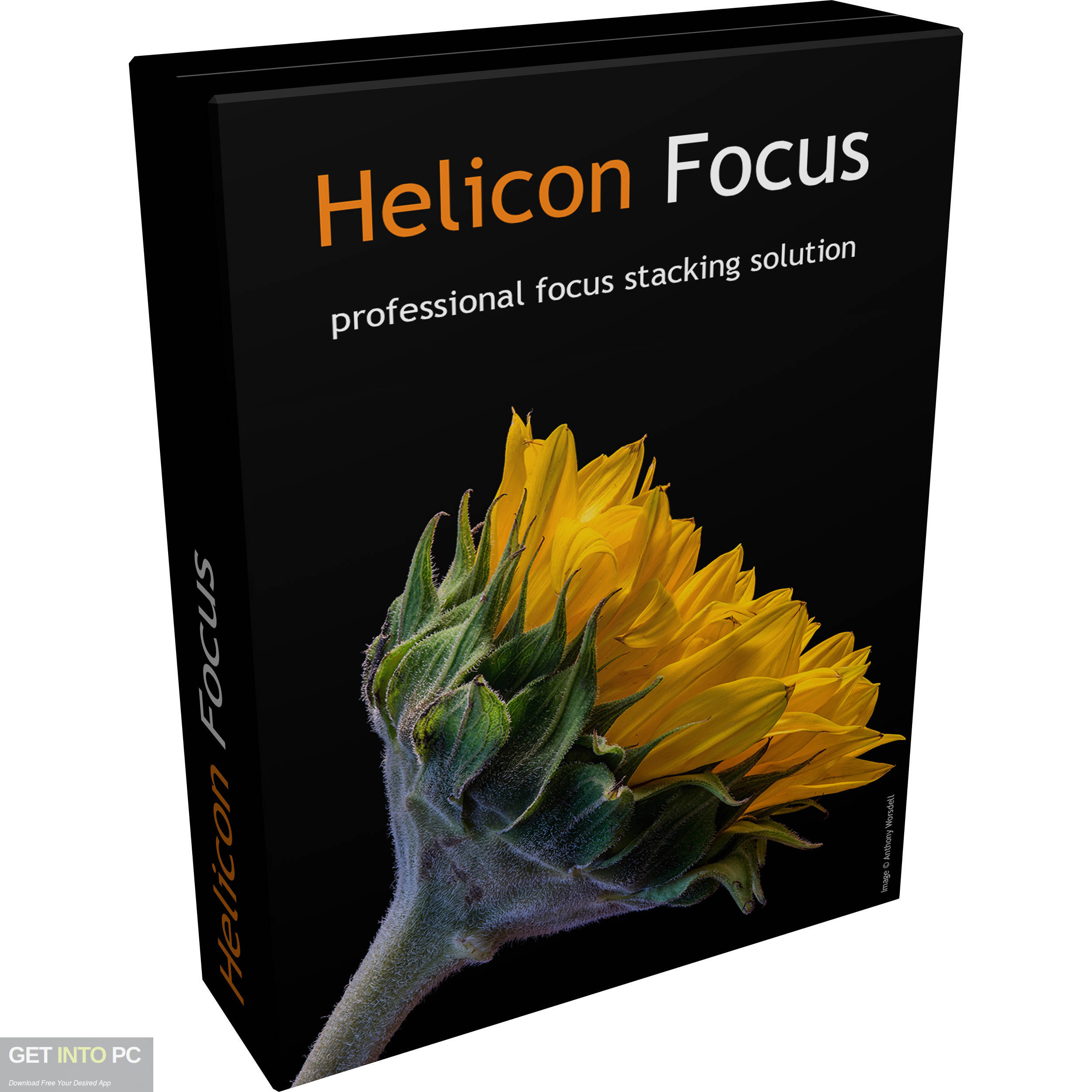 Helicon Focus Pro Free Download-GetintoPC.com