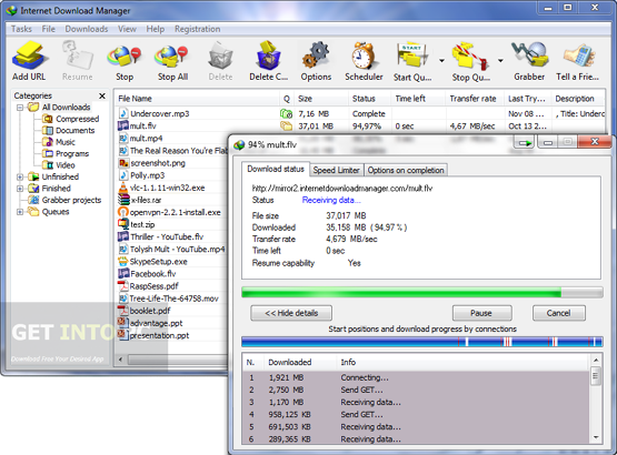 Internet Download Manager 6.15 Offline Installer Download Internet Download Manager 6.15 Offline Installer Download