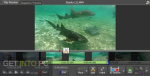 NCH VideoPad Video Editor Professional 2021 Latest Version Download-GetintoPC.com.jpeg