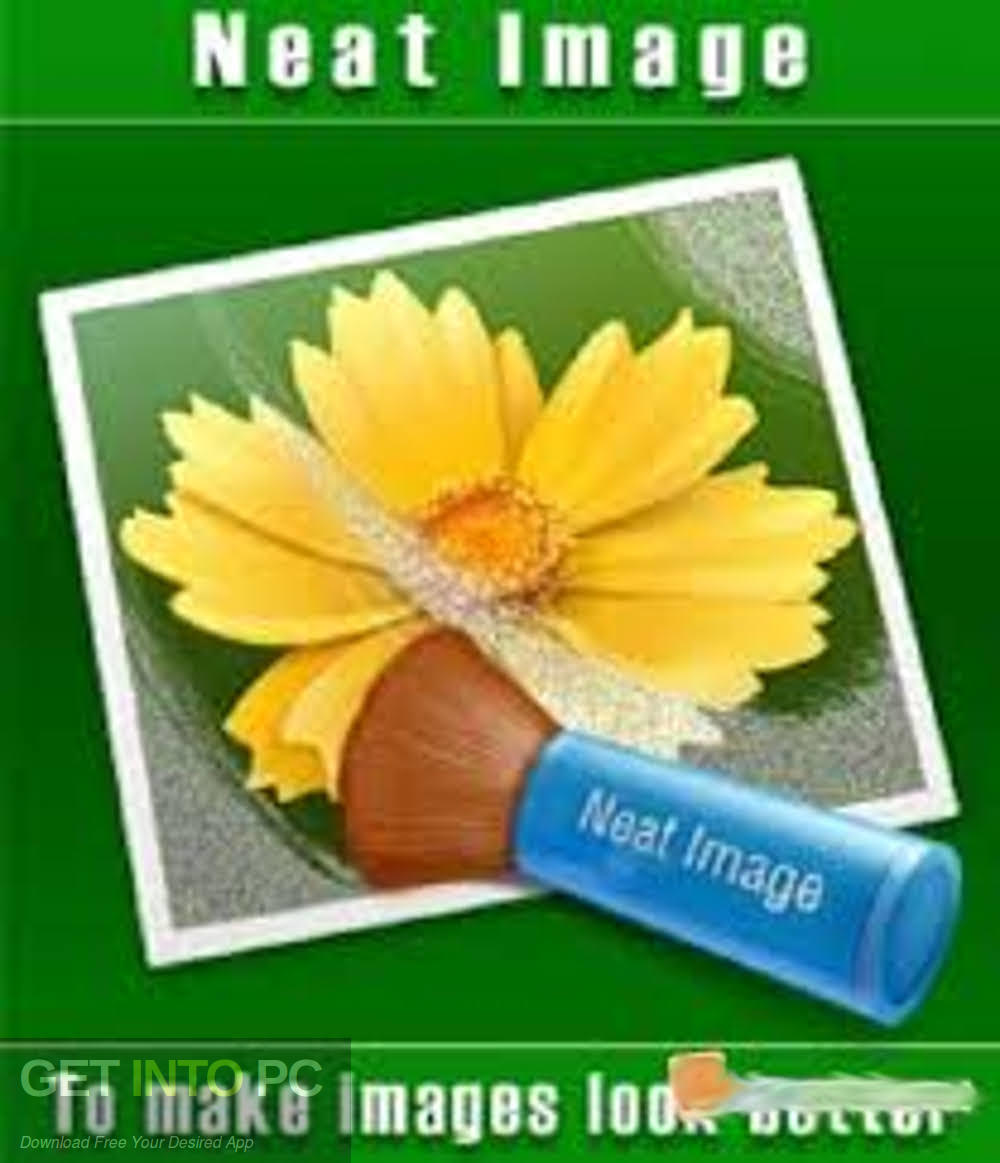 Neat Image Pro Plus 2011 Free Download-GetintoPC.com