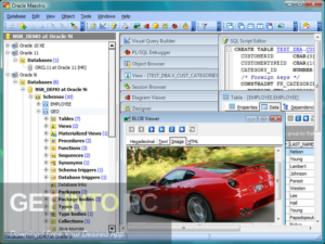 Oracle Maestro Professional Direct Link Download-GetintoPC.com