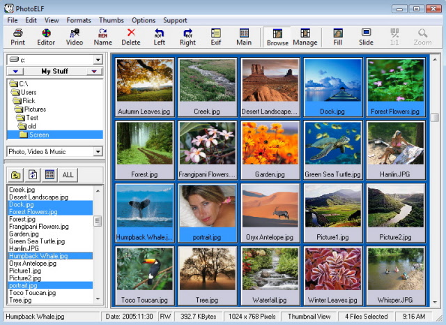 PhotoELF Photo Editor Offline Installer Download