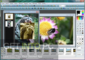 PhotoFiltre Studio 2021 Offline Installer Download-GetintoPC.com.jpeg