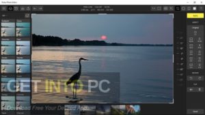 Polarr Photo Editor Pro Direct Link Download-GetintoPC.com