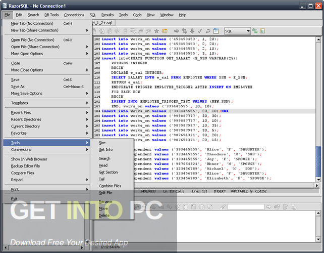 RazorSQL 8.0.6 GetintoPC.com