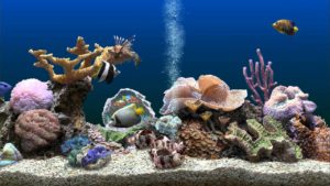 SereneScreen-Marine-Aquarium-Direct-Link-Free-Download