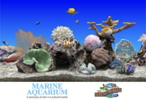 SereneScreen-Marine-Aquarium-Latest-Version-Free-Download