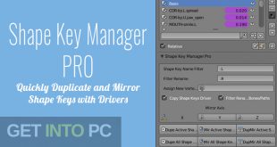 Shape Key Manger Pro for Blender Free Download GetintoPC.com