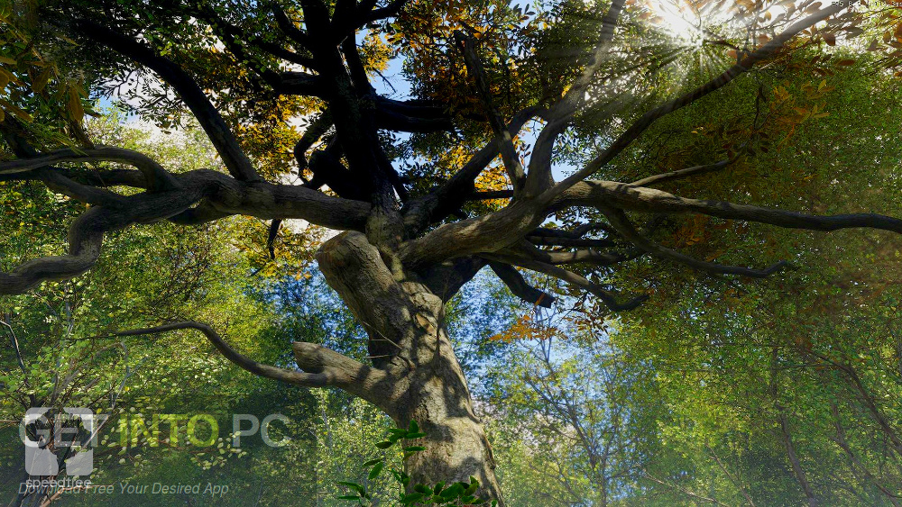 SpeedTree Cinema 8.1.5 Offline Installer Download-GetintoPC.com