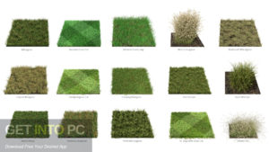 The Grass Essentials Addon for Blender Direct Link Download-GetintoPC.com