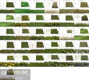 The Grass Essentials Addon for Blender Offline Installer Download-GetintoPC.com