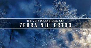 The-Very-Loud-Indeed-Co.-ZEBRA-NILLERTOQ-Free-Download-GetintoPC.com_.jpg