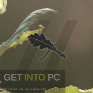 Waverunner-the-Audio-Violin-by-Alder-Direct-Link-Free-Download-GetintoPC.com_.jpg