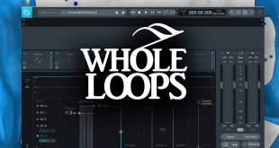 Whole Loops GOLDEN BUNDLE Free Download GetintoPC.com