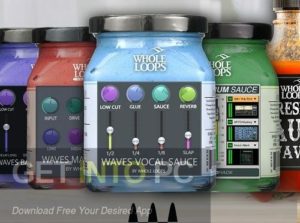 Whole-Loops-GOLDEN-BUNDLE-Latest-Version-Free-Download-GetintoPC.com_.jpg