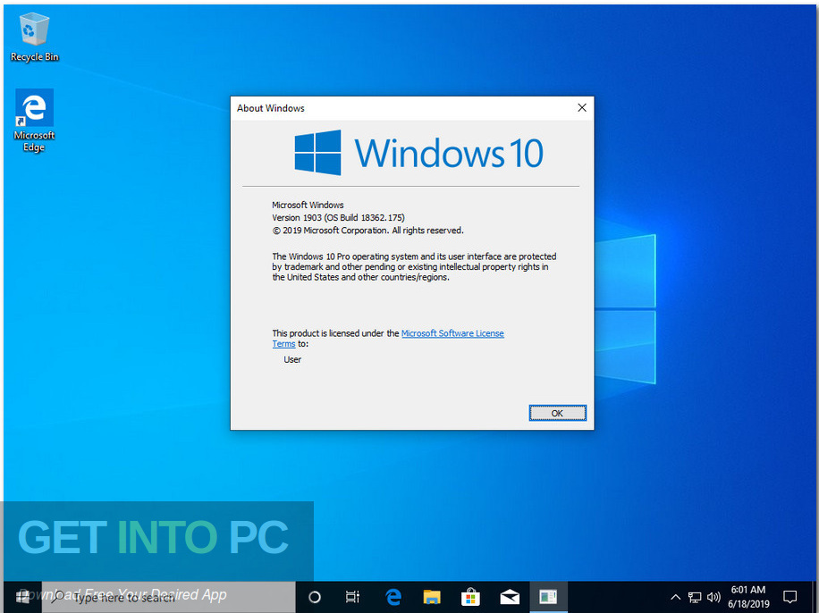 Windows 10 Pro 19H1 incl Office 2019 June 2019 Screenshot 6 GetintoPC.com