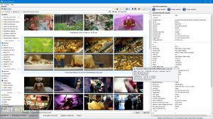 3delite-Video-File-Browser-2023-Latest-Version-Download-GetintoPC.com_.jpg